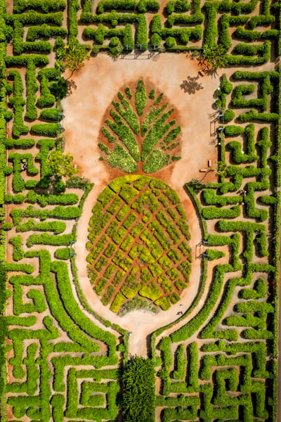 Dole Plantation Maze