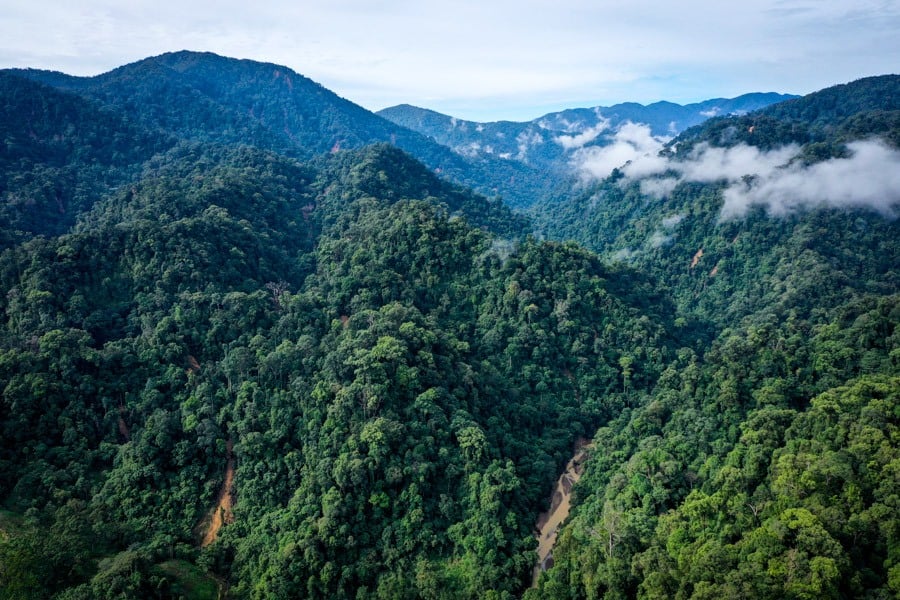 Best Hikes In Indonesia Trail Bukit Lawang Jungle Trekking Drone Sumatra Gunung Leuser National Park