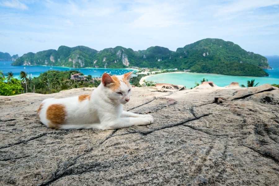 Cat Phi Phi Viewpoint