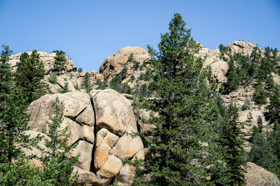 Rock Boulder Forest