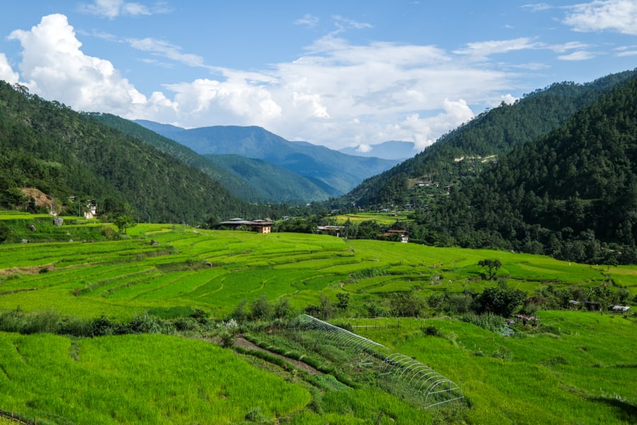 Punakha Rice Fields Mountains