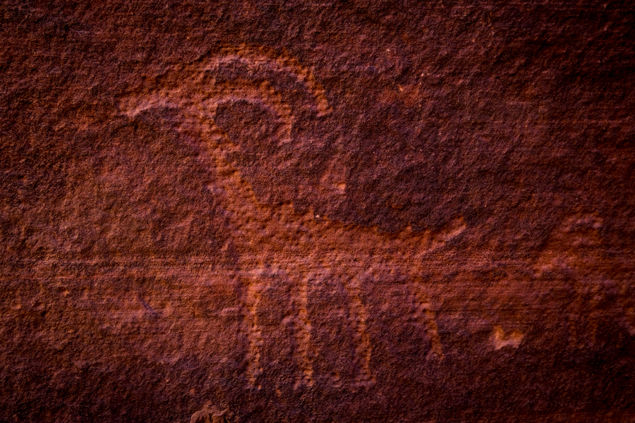 Buckskin Gulch Petroglyphs