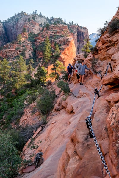 Zion Cliff Chain Trail