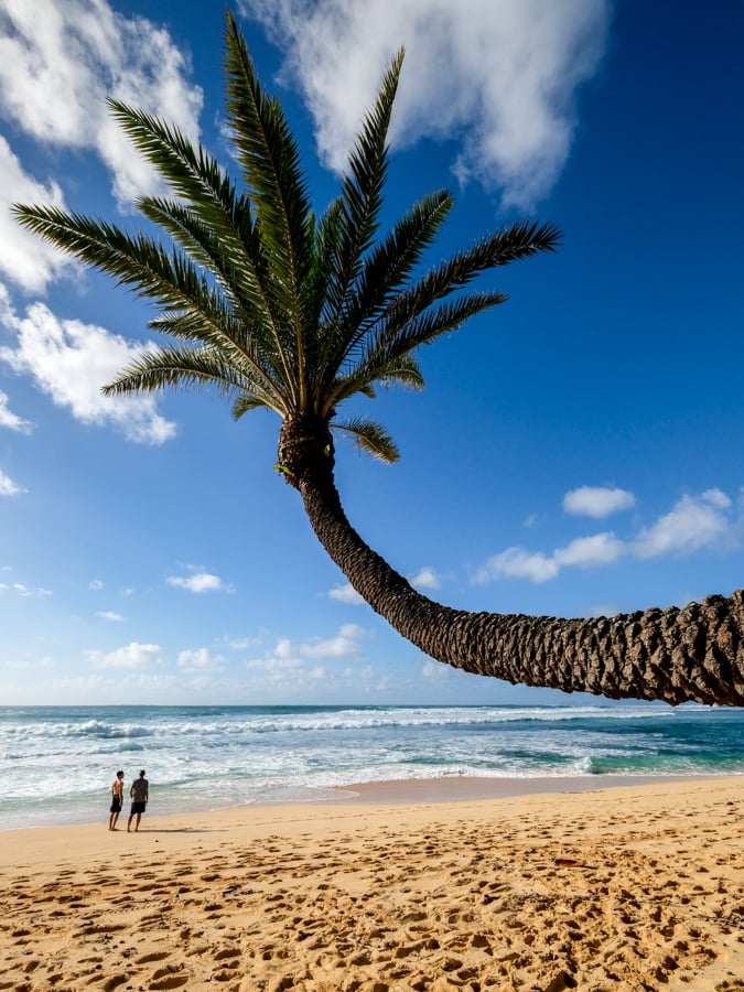 Best Things To Do In Oahu Hawaii Fun Couples Free Beach