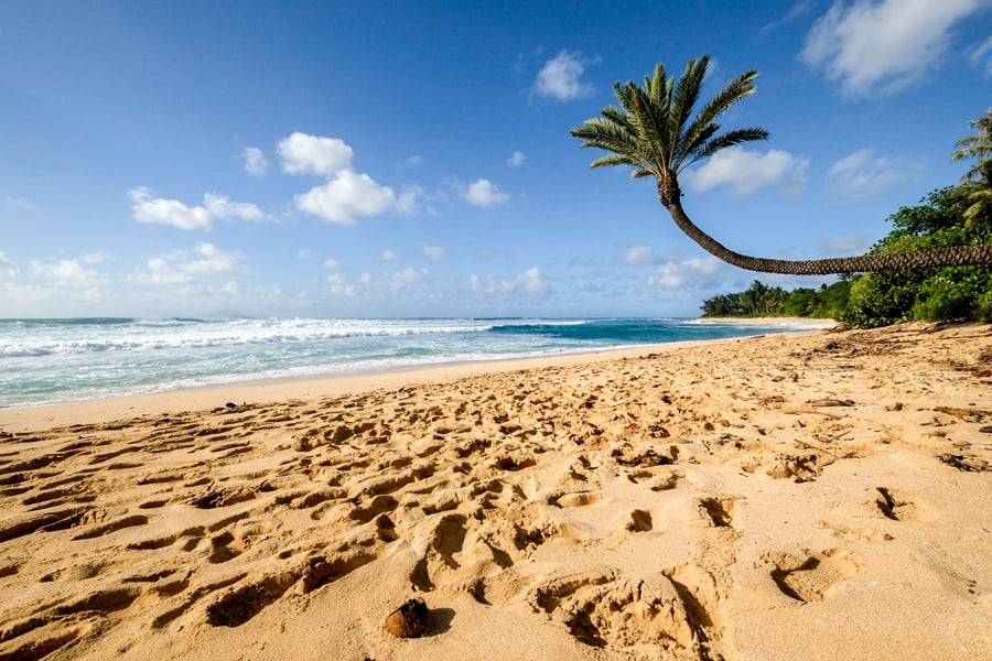 Best Things To Do In Oahu Hawaii Fun Couples Free North Shore Beach