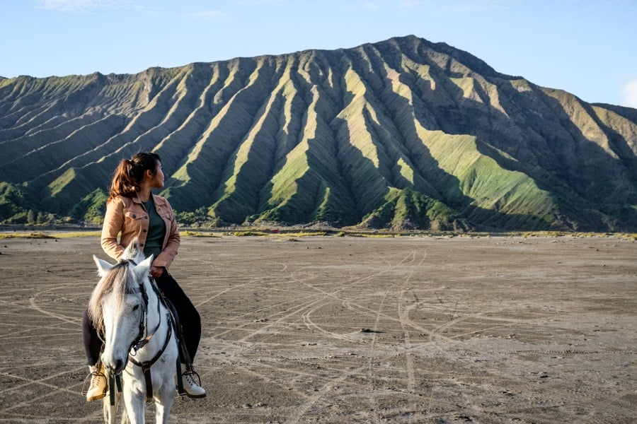 Mount Bromo Horseback Riding
