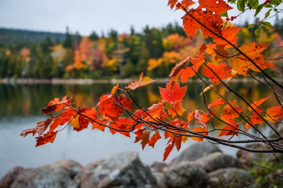 Fall Foliage Maine