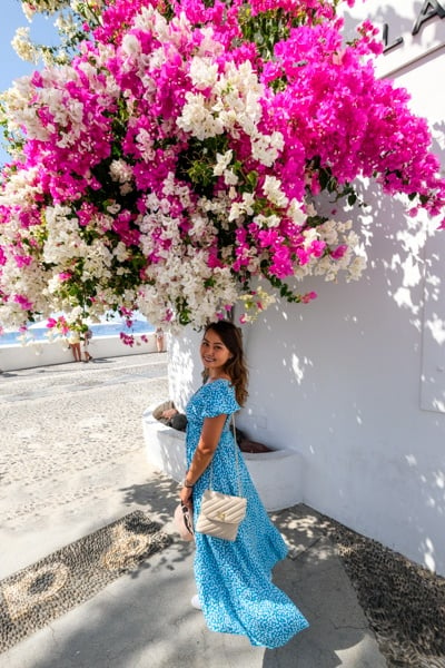 Santorini Greece Travel Guide Best Things To Do In Santorini Island Fira Flowers