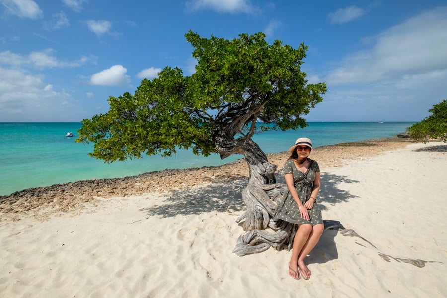 Best Aruba Beaches Eagle Beach Fofoti Tree