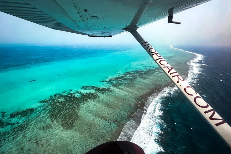 Reef Flight Belize
